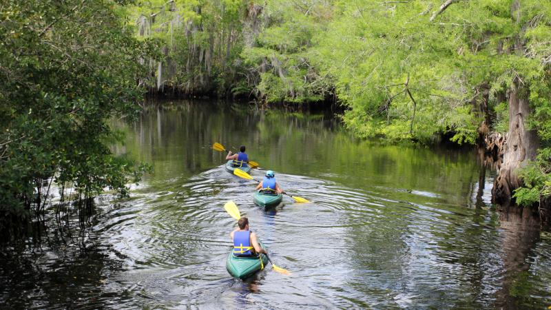 Paddlers at Jonathan Dickenson State Park